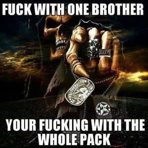 bad ass DOgS