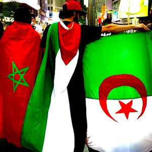 Free The Holy Land (Palestine)