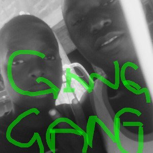 gang gang