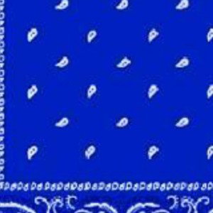 Lil Crips 