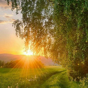 Раннее утро Лета