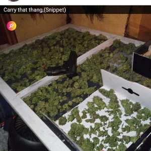 carry that thang