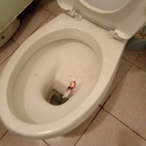 на чёрный или серый день.