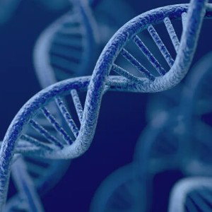 good gene(farsi)