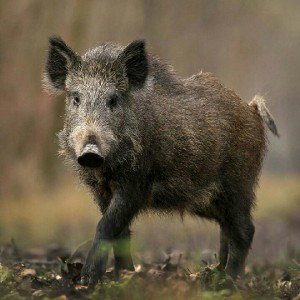 Ты не выкупишь мой стиль