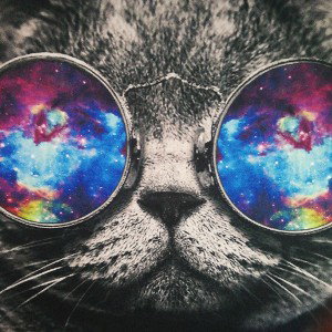 💯RosaRoteBrille💯