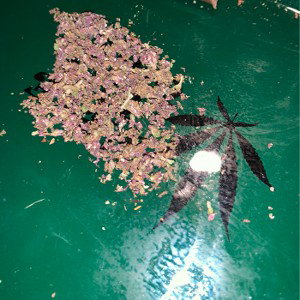 Jet$onK$HR - Purple Freestyle (Official)