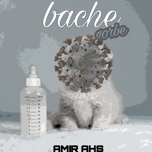 بچه گربه|bache gorbe