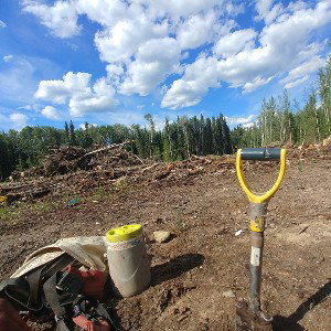 Tree'🌲 planting Jam05-Av