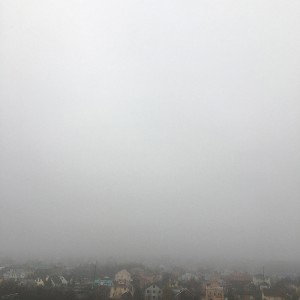 Синьорита) LSM