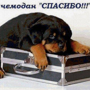 ФРЕДЕКУПЕР СВЕЛ МОЙ РЕП!