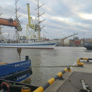 белое утро 