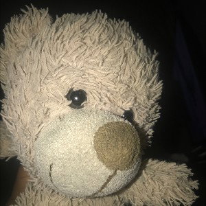 Teddy 2