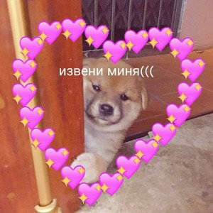 Пошло не по плану