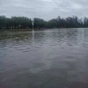 mi sengundo