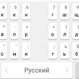 метель ддт