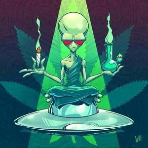 ALL ABOUT THE WEED