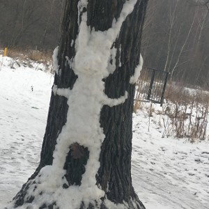 BiffHardалилуяа2КАТТ