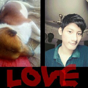 kutu My Best Friend