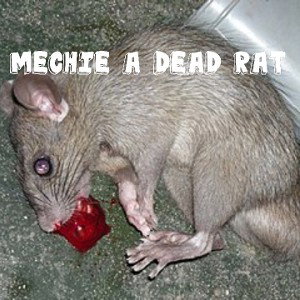 The Informant (Mechie Diss) 