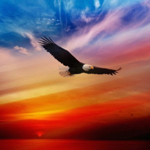 Free