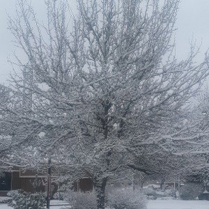 Cold Weather 