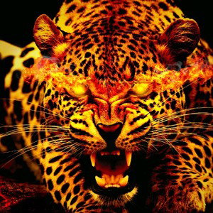 Underdog