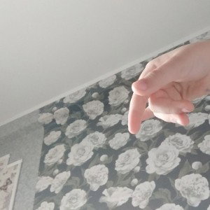 холод