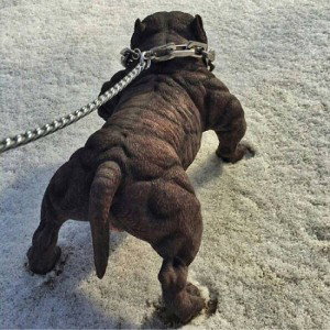 Любовь моя.