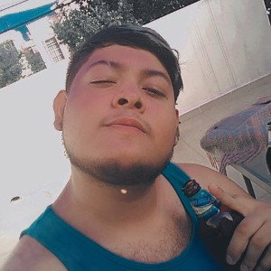 Freestyle