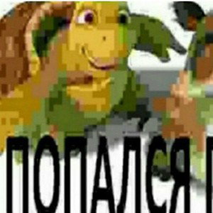 Правдивый