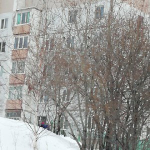 для подписчиков