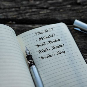 Day1Erz - WiShLiSt