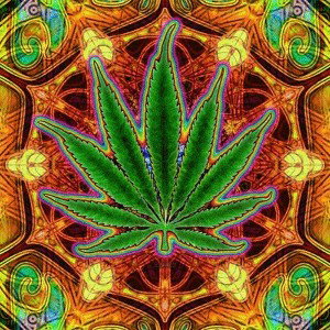 un pinche gallardo andando bien chido fluyendo volando la vida rumbiando y gosando..... locos🍁🔥💯👽🎧🤙
