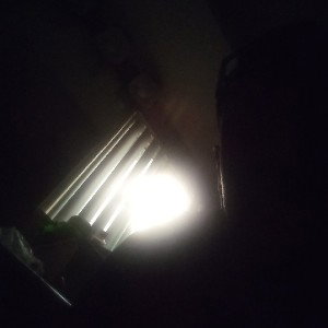 just ah Vibe