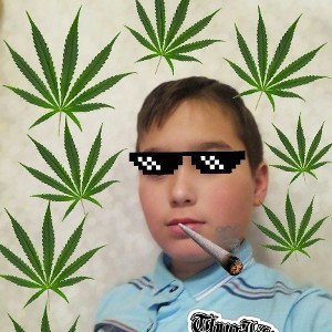 гризли 