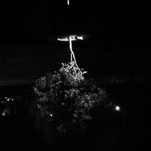homenaje Edith Piaf.