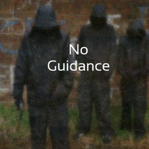 No Guidance
