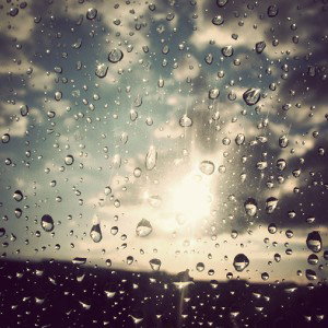 Summer Rain