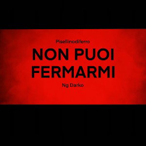 NON PUOI FERMARMI feat. Ng Darko 