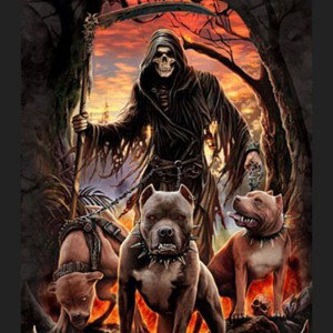 Fear The Reaper#MeanSaltine#C2$Btz                              