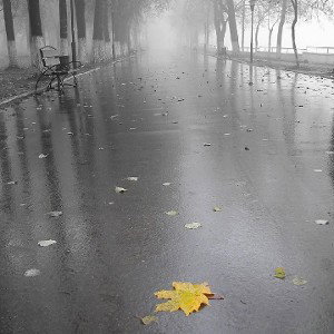 ПоГОда