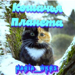 Mardi - Кошачья  Планета 🌎 