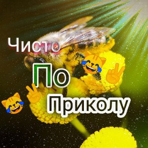 ЧТОБ ВЫ НЕ ГРУСТИЛИ