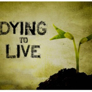 Dying to Live