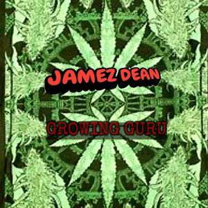 Growing Guru (luniZ inst)