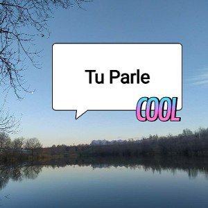 Tu Parle ?