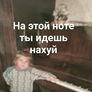 социальная сфера 