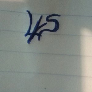 LKS13 