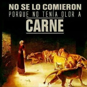 el regreso